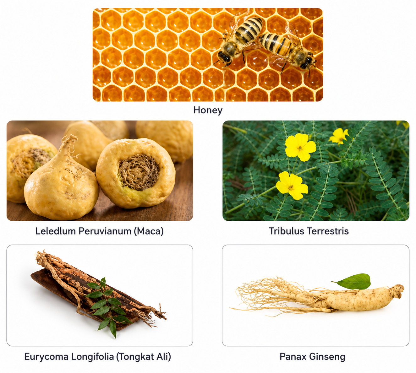 Royal Honey